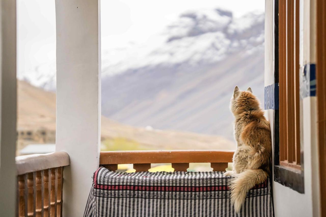 بيت شباب Zostel Spiti كازا المظهر الخارجي الصورة